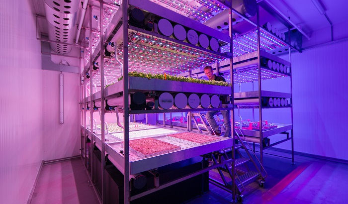 Follow us on a new journey combining floriculture and vertical farming
