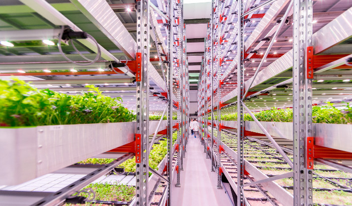 How to build a successful vertical farm